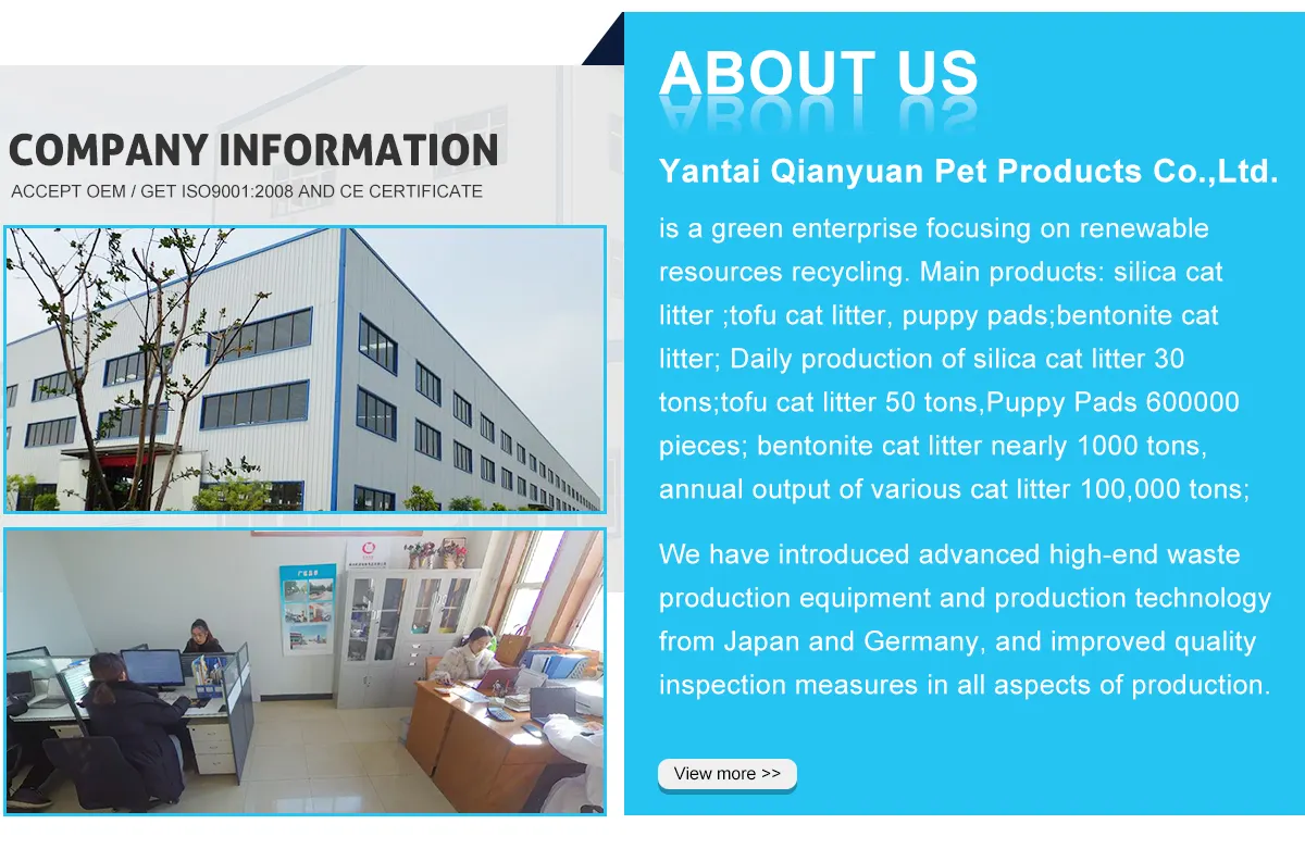 productname